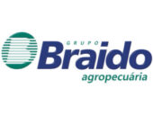 Braido-300x225